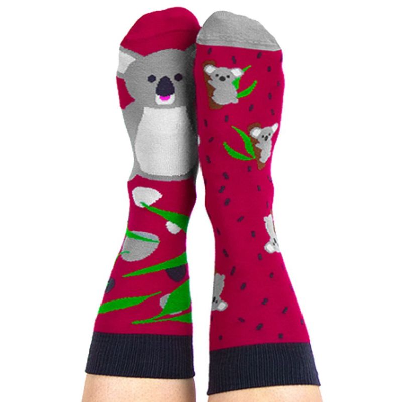 Skarpety kolorowe koala - Lala Koala Skarpety kolorowe koala - Lala Koala