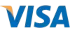 Visa Payment